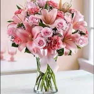 Meet your Posher, Anna Marie